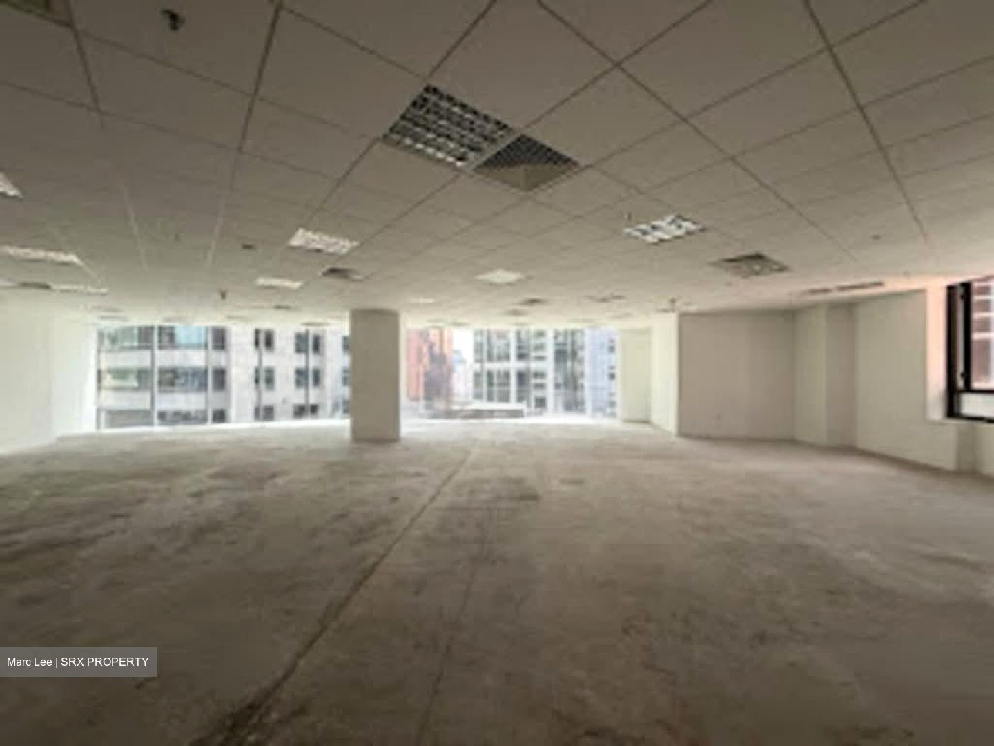 PLUS (D1), Office #560762111